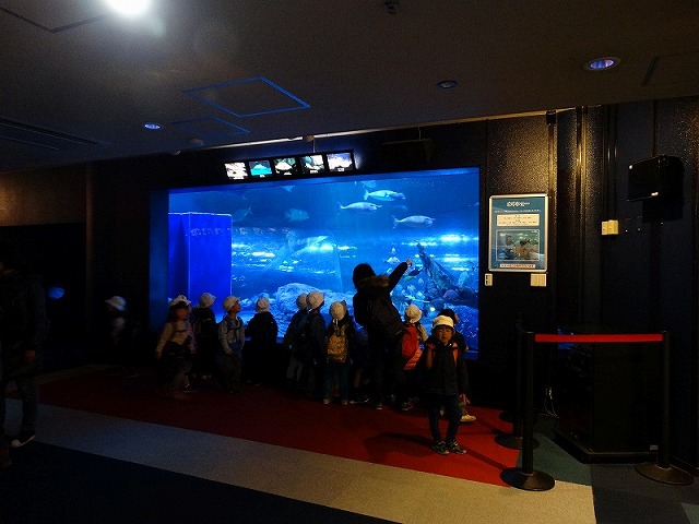 品川水族館（年中）