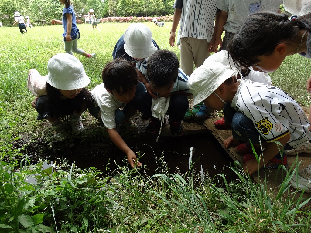 学校法人みねまち学園「嶺町幼稚園」｜大田区鵜の木
トップ画像2