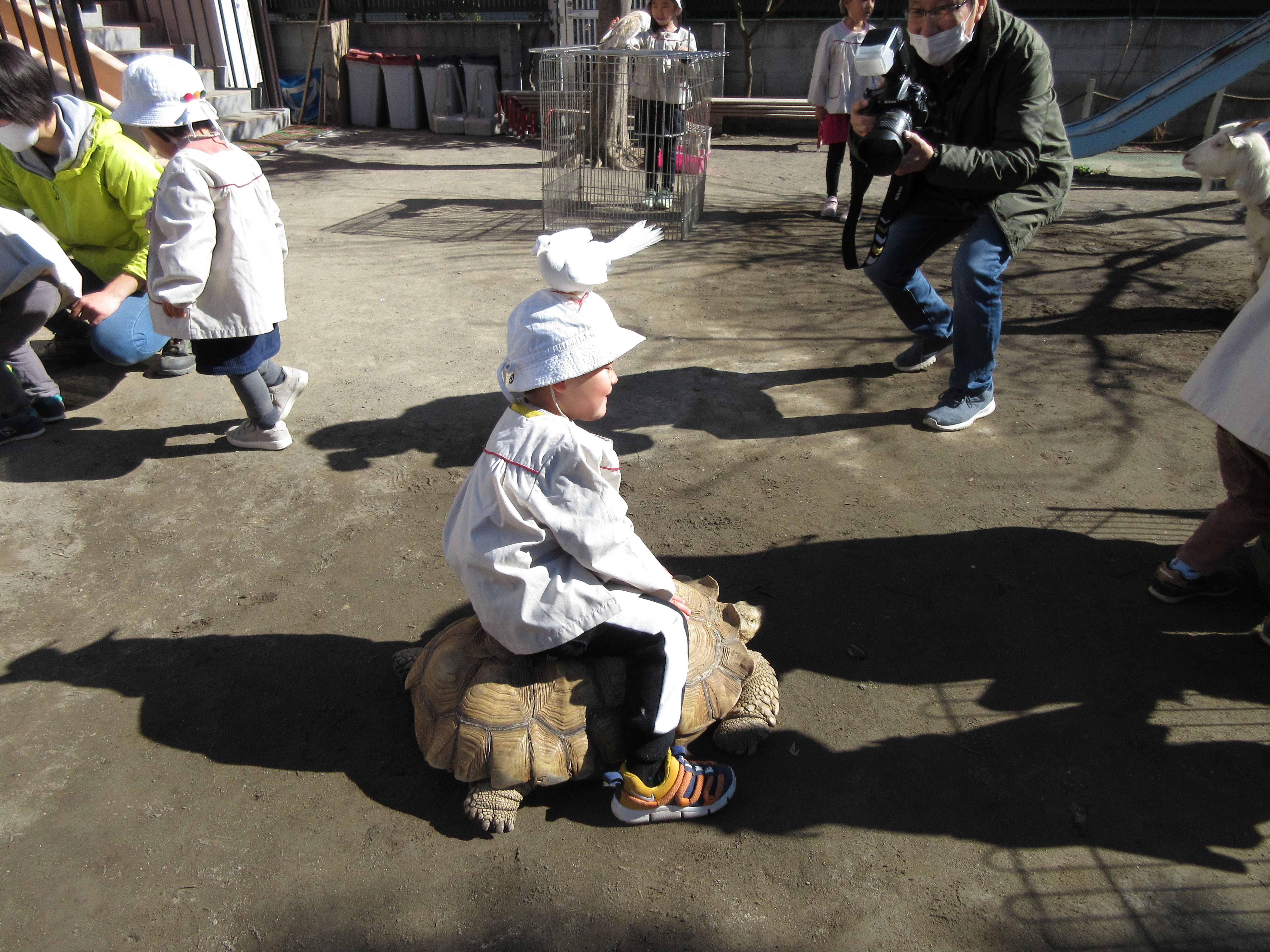 ふれあい動物園