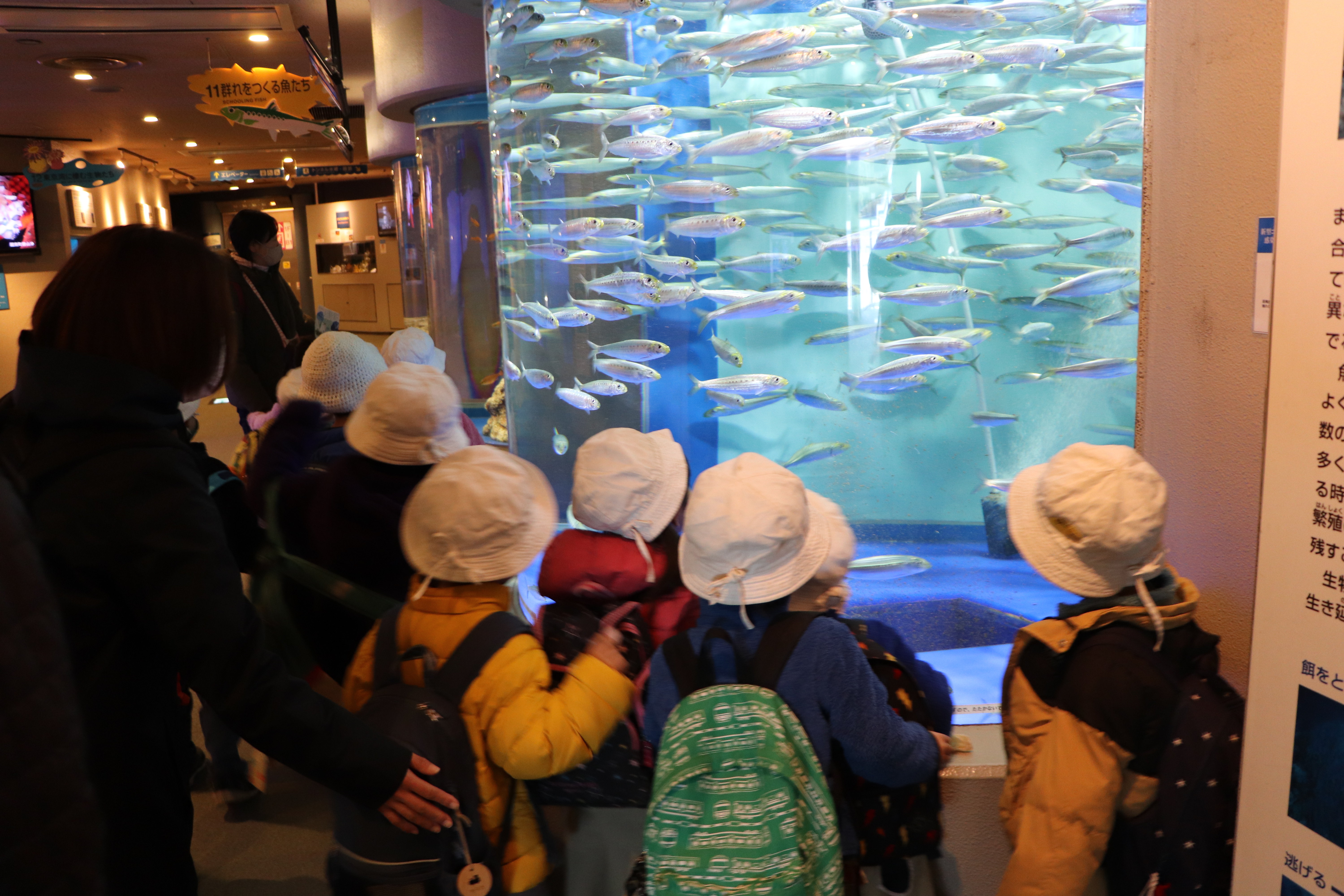 品川水族館