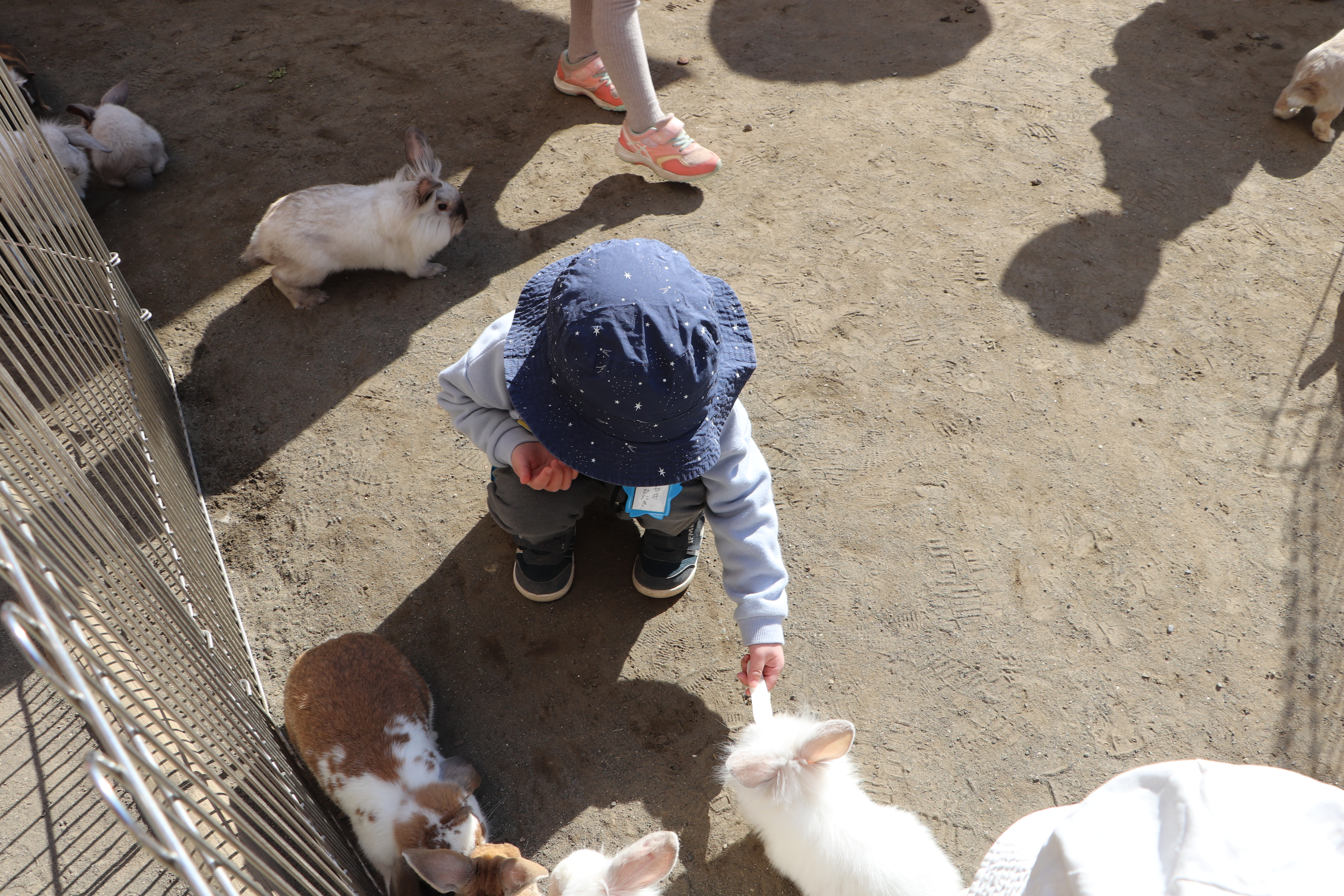 ふれあい動物園